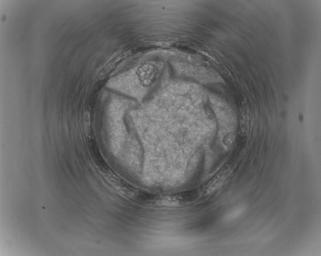 X0000071760656200607282149