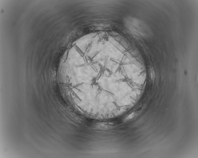 X0000071760657200607282149