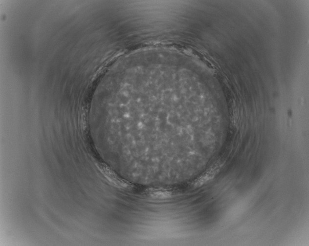 X0000071760658200607282149