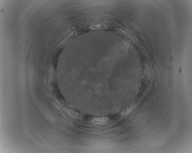 X0000071760659200607282149