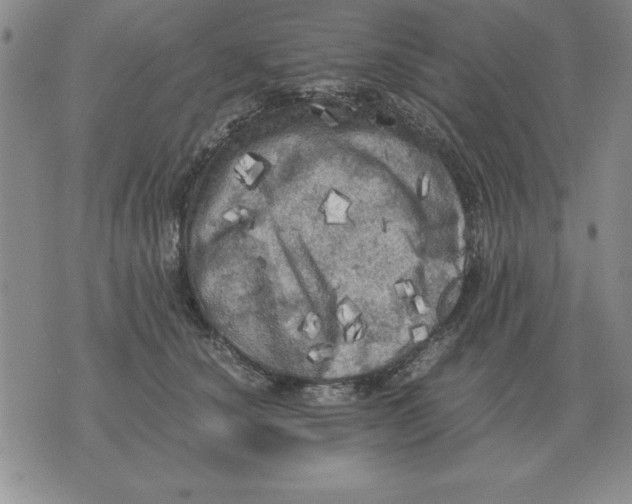 X0000071760660200607282149