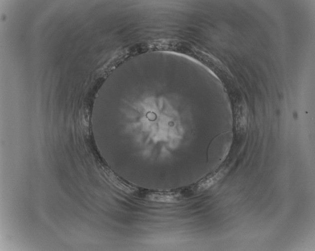 X0000071760661200607282149