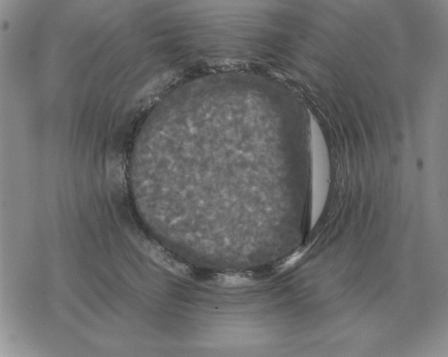 X0000071760662200607282149