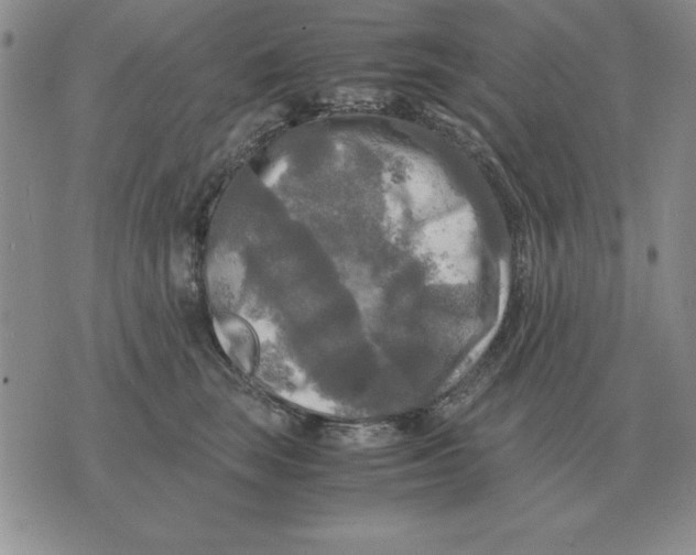 X0000071760663200607282149