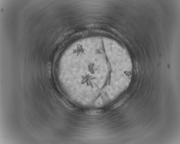 X0000071760664200607282149