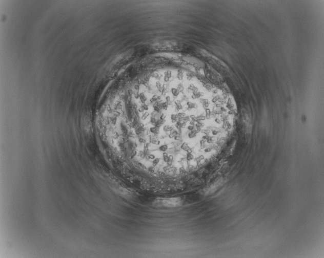 X0000071760665200607282149