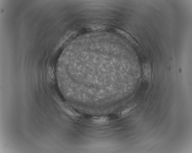 X0000071760667200607282149