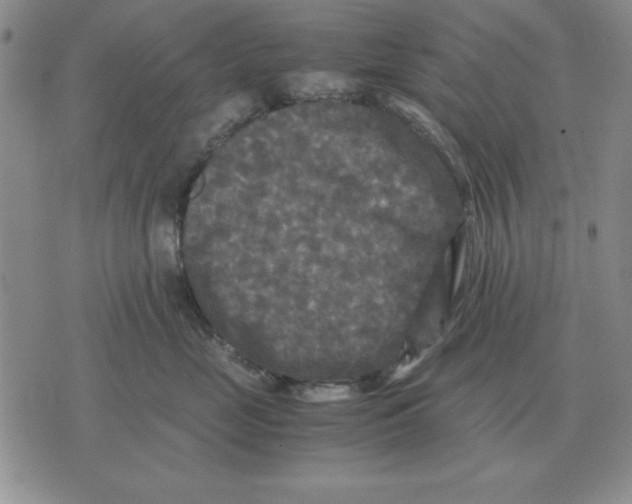 X0000071760669200607282149