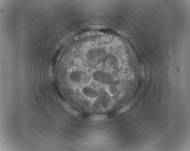 X0000071760670200607282149