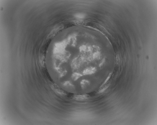 X0000071760671200607282149