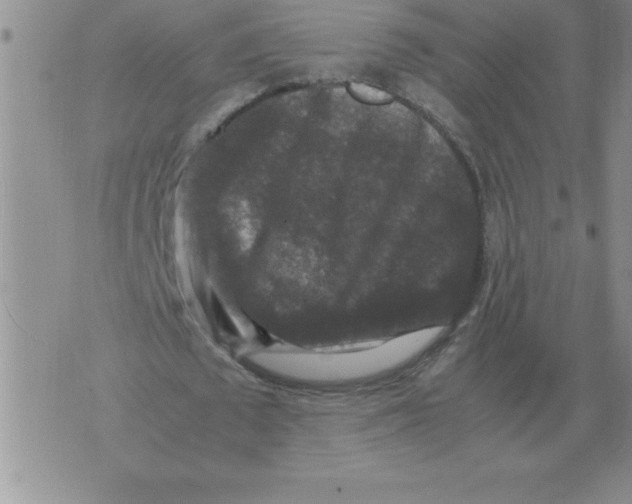 X0000071760673200607282148