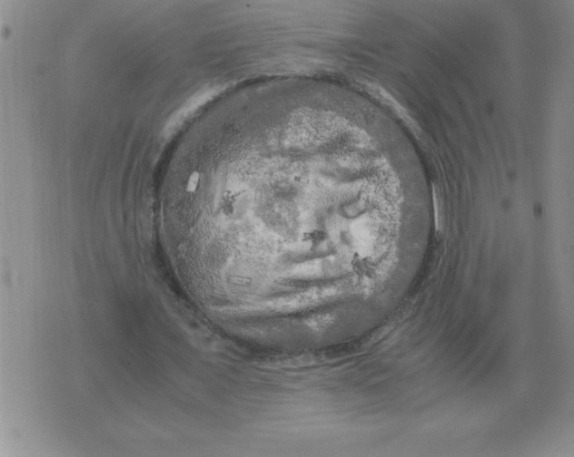 X0000071760675200607282148