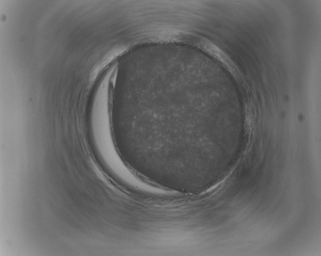 X0000071760677200607282148