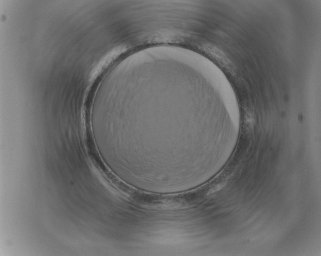 X0000071760678200607282148