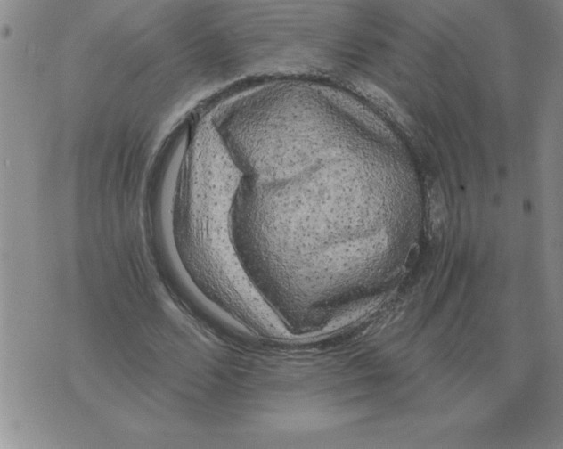 X0000071760680200607282148