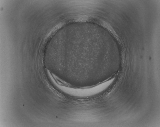 X0000071760681200607282148