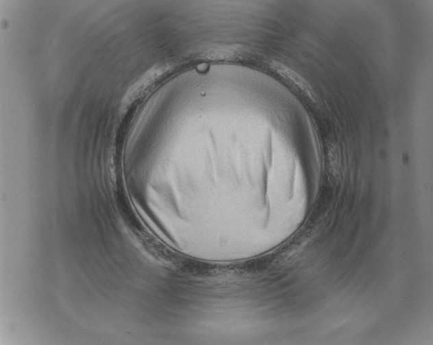 X0000071760682200607282148