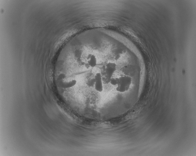 X0000071760683200607282148