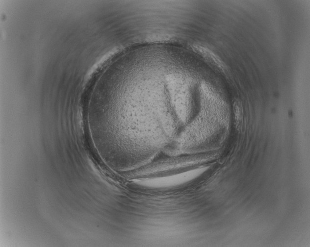 X0000071760684200607282148