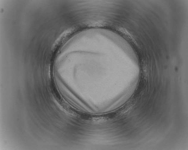 X0000071760686200607282148