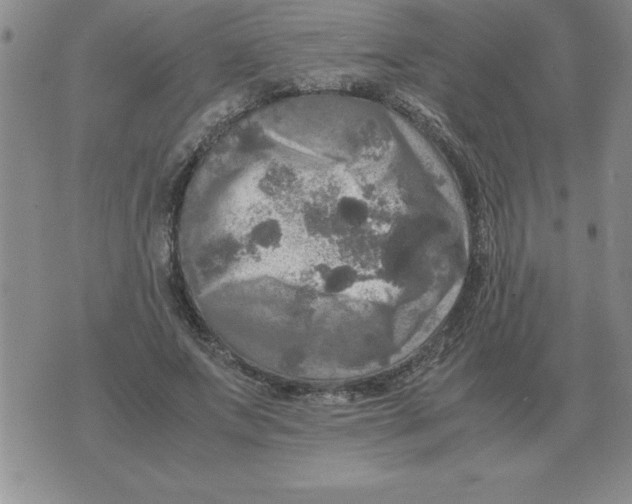 X0000071760687200607282148