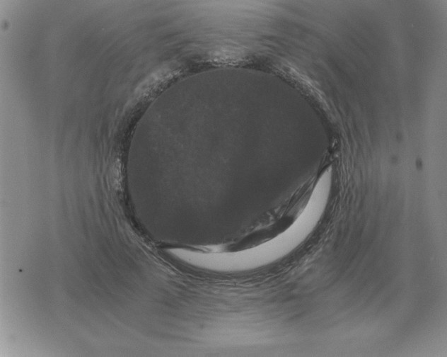 X0000071760689200607282148