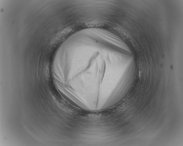 X0000071760690200607282148