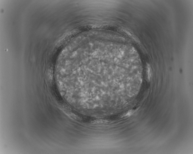 X0000071760691200607282148