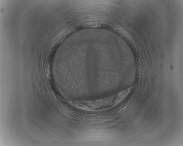 X0000071760693200607282148