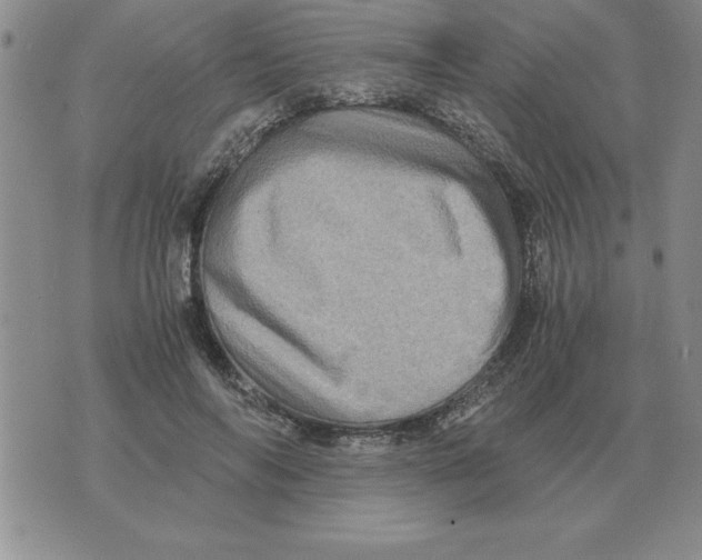 X0000071760694200607282148