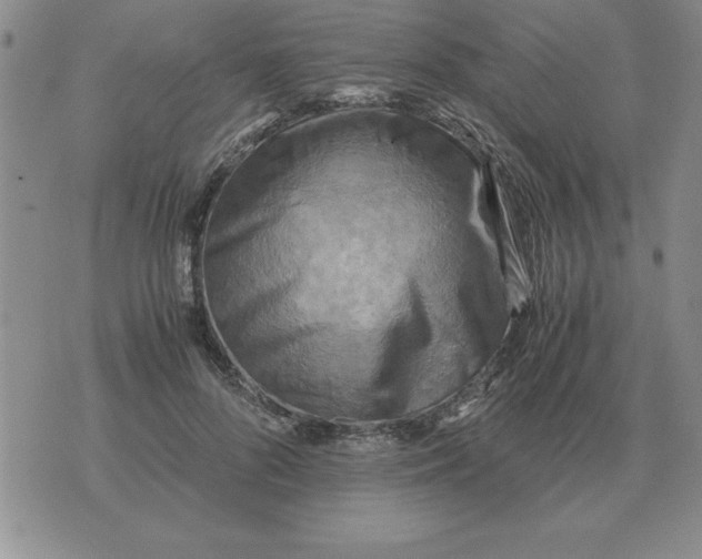 X0000071760696200607282148