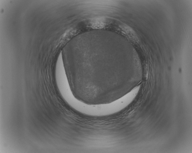 X0000071760697200607282148