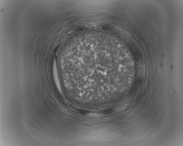 X0000071760699200607282148