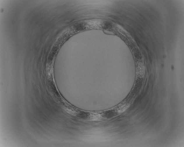 X0000071760701200607282148