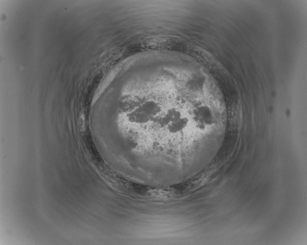 X0000071760703200607282148