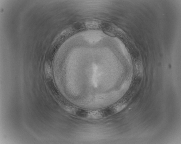 X0000071760705200607282148