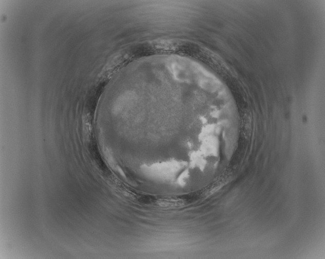 X0000071760707200607282148