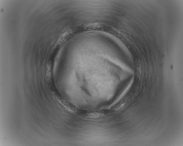 X0000071760708200607282148