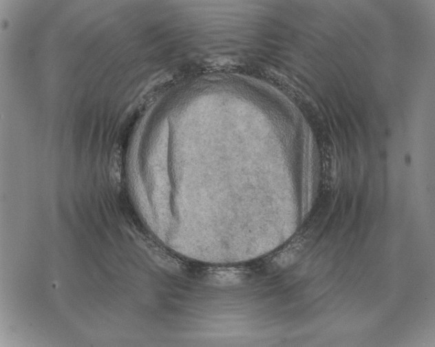 X0000071760710200607282148