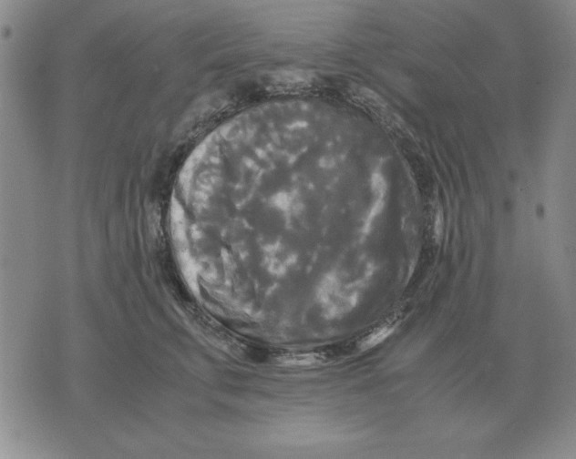 X0000071760711200607282148