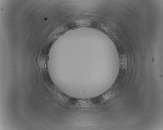 X0000071760713200607282148