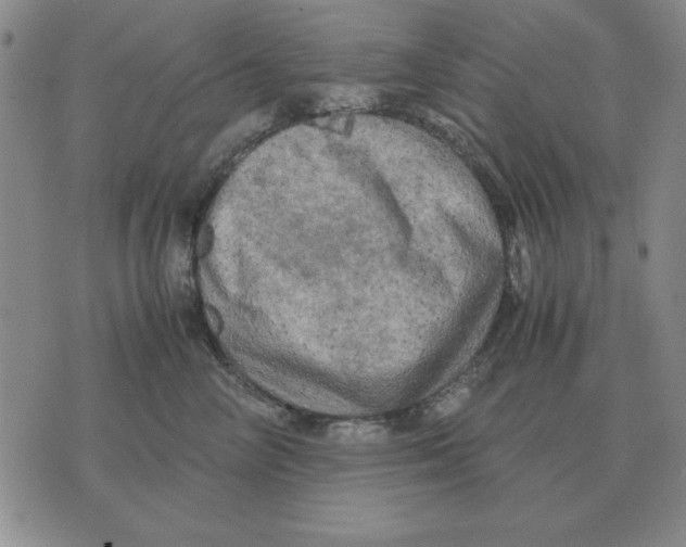 X0000071760714200607282148