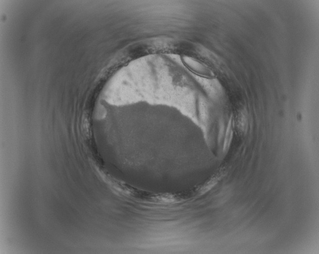 X0000071760715200607282148