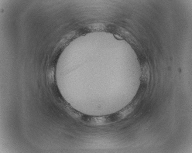 X0000071760717200607282148