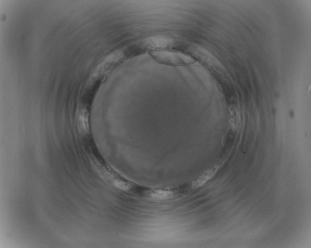 X0000071760718200607282148