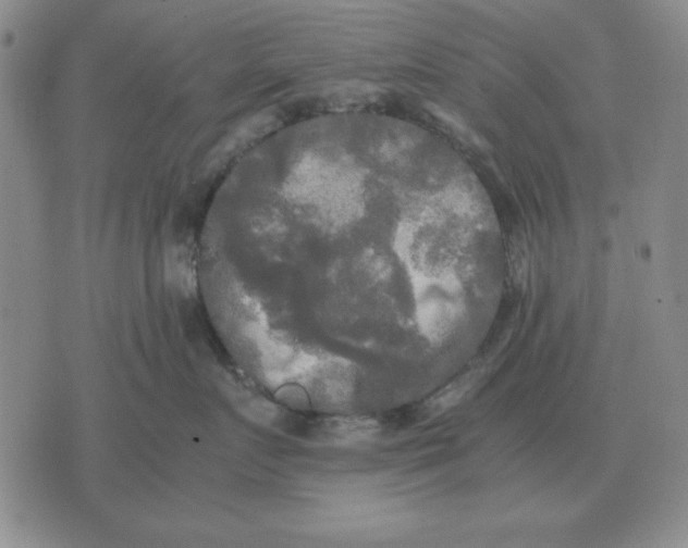 X0000071760719200607282148