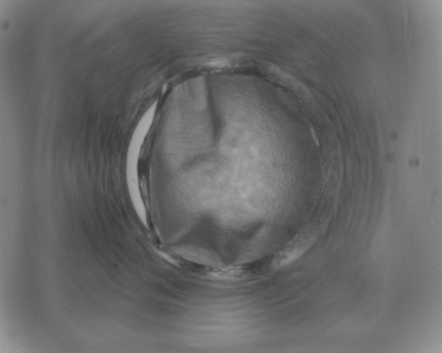 X0000071760720200607282148