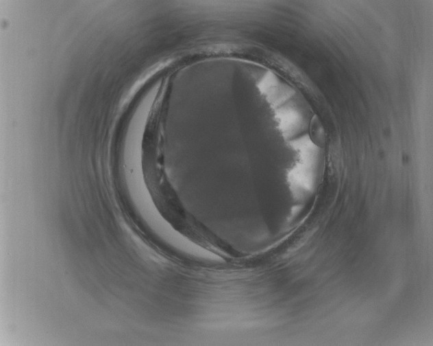 X0000071760722200607282147