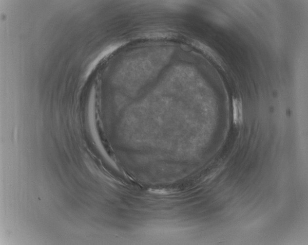 X0000071760723200607282147