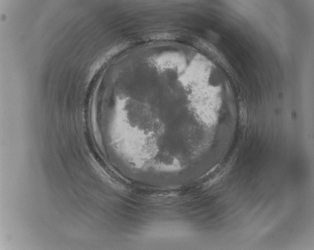 X0000071760725200607282147